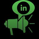 LinkedIn Ads Management