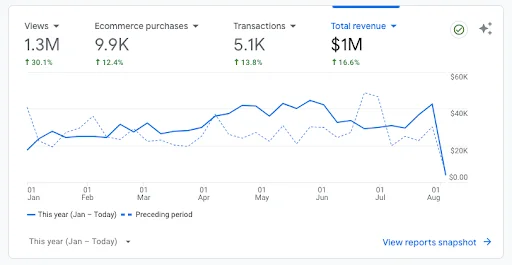 Leads We Have Generated From Our SEO Work